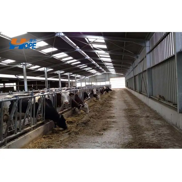Livestock Shed Design Horse Stable Prefab Steel Cow Farm Building