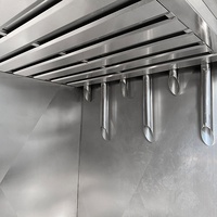 Fumoir à bois à froid pour la fumaison des produits agroalimentaires (lait fermenté, saucisses de poisson, anchois), à prix abordable, à vendre