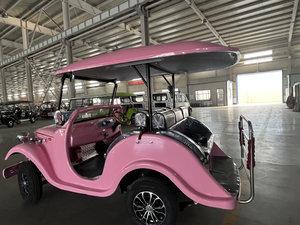 Prezzo di fabbrica 5 posti elettrico Vintage Golf Cart 4000W <span class=keywords><strong>auto</strong></span> da turismo classico in vendita
