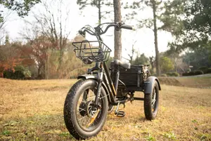 BAFANG-triciclo eléctrico de 3 ruedas con batería de litio de 48V y 18.2Ah, 750W