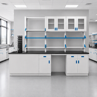 Banc de laboratoire tout acier sur pied avec évier, égouttoir, étagère à réactifs et armoire murale pour laboratoire scolaire - Vente en gros
