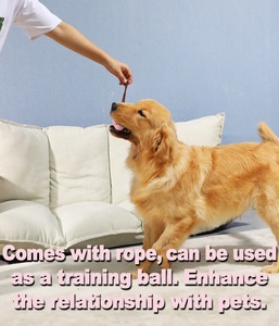 Giocattolo Interattivo per Animali Domestici, <span class=keywords><strong>Gioco</strong></span> di Pulizia Denti per Cani, Puzzle per Cuccioli, Resistente per Masticatori Aggressivi, in Gomma Morbida - Product Image 6