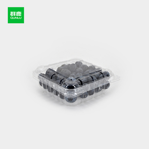 125g/185g/250g arándano frambuesa transparente desechable PET Clamshell contenedor plástico frutas <span class=keywords><strong>cajas</strong></span> de embalaje - Product Image 3