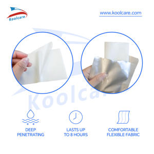 Medizin pflaster, maximale Stärke Wirkstoff Schmerz linderung pflaster, Schmerz linderung pflaster für Rücken, Schulter, Ellbogen, Muskel - Product Image 2