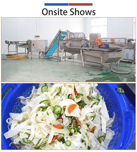Fengxiang OEM & ODM Salad Process Line Baby <b>Vegetable</b> Vortex Washing Drying Machine - Product Image 5