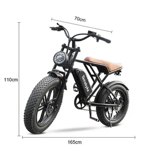 20 Inches 750W 48V Electric Dirt Bikes Electric Fat Tire Bike Full Suspension Electric Bike