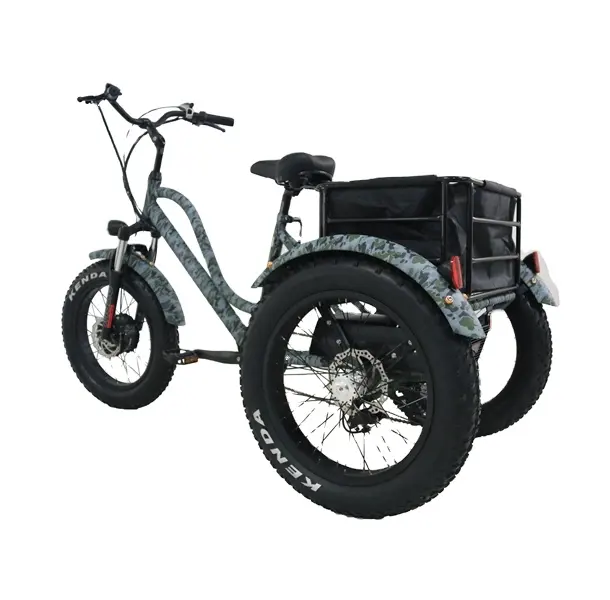 Summer/Winter 48v 1000w 750w big power 20 inch fat tire electric bike/snow ebike/electric beach cruiser bicycle