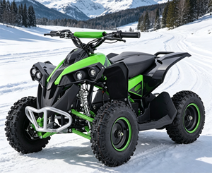 <span class=keywords><strong>Quad</strong></span> <span class=keywords><strong>électrique</strong></span> ATV <span class=keywords><strong>1000W</strong></span> 48V <span class=keywords><strong>36V</strong></span> pour enfants, tout-terrain, transmission par chaîne - Product Image 5
