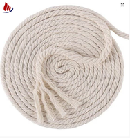 Cordon en coton tressé 100 % naturel et écologique, haute résistance – Corde macramé douce pour suspendre des plantes, corde à linge, emballage cadeau, bricolage