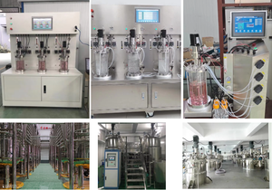 Biorreactor de Laboratorio Avanzado de 10L, 20L, 30L, 50L, 100L, Fermentador, Recipiente a Presión Automático, Sistema de Control PLC para Reactores de Reacción - Product Image 5