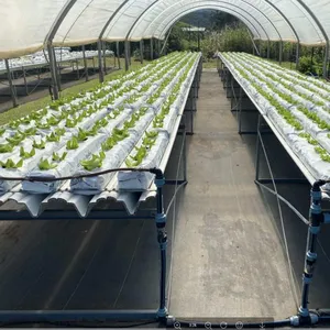 G & N tessuto idroponico per la coltivazione di tessuto COCO bozzello blocco pomodoro cocopiante coltivazione borsa per l'agricoltura