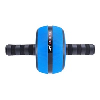 Roue Abdominale en PP avec Cœur en Acier pour Entraînement de Force, Équipement de Fitness à Domicile