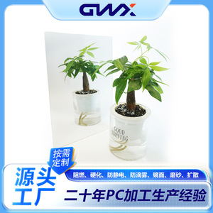 Guo Weixing Polycarbonate Endurance <b>Board</b> 1-25mm 2.44m Flat Wall <b>Mount</b> Decoration Panel - Product Image 5