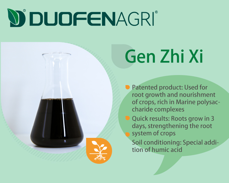 Liquid Humic Acid Organic NPK Fertilizer Manufacturer image 2