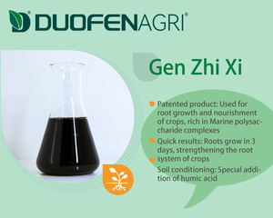 最高のセール植物肥料複合体アグロ腐植酸液体有機NPK肥料サプリメントメーカー - Product Image 2