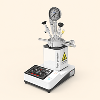 Réacteur de laboratoire série ZN-YC pour tests chimiques, 12,5 MPa, récipient standard 316L pour utilisation en réaction haute pression