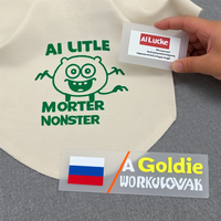 Autocollant de transfert thermique de haute qualité étiquette d'emballage en vinyle impression par transfert Genre DTF Design T-Shirt Logo