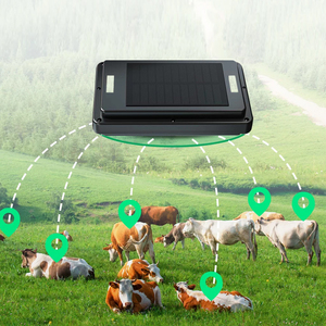 Etiquetas de oreja de seguimiento gps de ganado solar 2024 Última tecnología Desarrollo de sistema de seguimiento GPS OEM soporte de fábrica personalización - Product Image 1