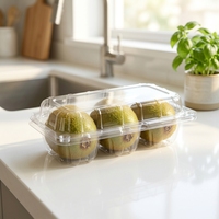 Boîte d'emballage alimentaire transparente pour mini-pâtisseries, gâteaux, kiwis, fruits, avec couvercle à boucle, 3 compartiments, en PET écologique, 75x50mm, 205x105x50mm, haute transparence
