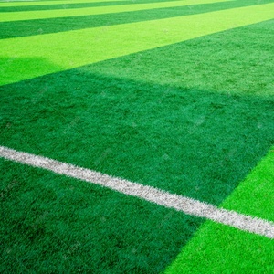 Alfombra <span class=keywords><strong>de</strong></span> césped artificial <span class=keywords><strong>de</strong></span> plástico <span class=keywords><strong>de</strong></span> 50mm para fútbol Deportivo ecológico verde para uso en el jardín - Product Image 1