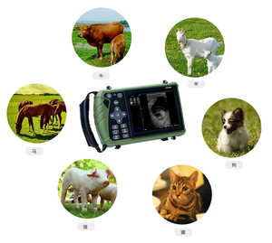 Système à ultrasons pour animaux vétérinaire B/W affichage mdeidcal portable numérique à ultrasons vétérinaires détecter la grossesse chat chien cochon - Product Image 6