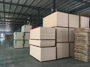 <span class=keywords><strong>2x8</strong></span> 4x8 5mm 6mm 12mm 15mm 18mm okoume ván ép/Thiết kế gỗ Veneer Nhà cung cấp - Product Image 6