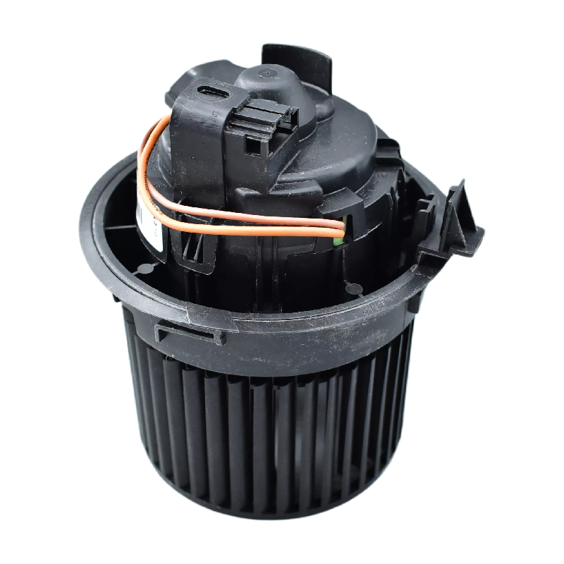 High Efficiency Stability Oe 272106600R Car Cooling System Blower Fan Motor for Renault Clio Auto Parts Image 4