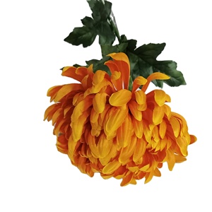 2022 amazon hot sale single head ping pong chrysanthemum