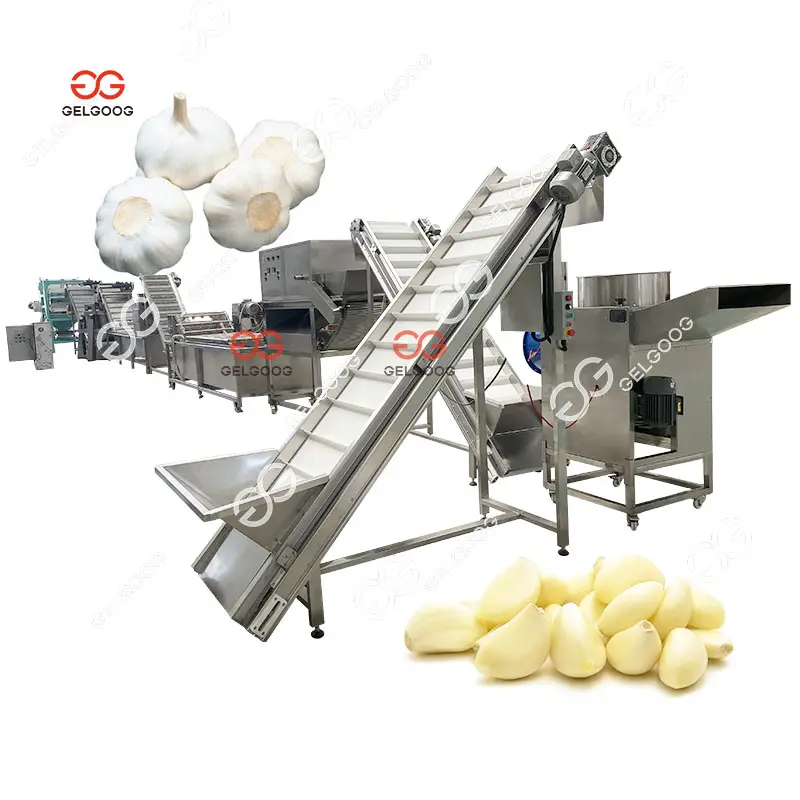 Piccola macchina per sbucciare il pelapatate e la macchina a rulli per rompere i semi di aglio macchina separatore di aglio