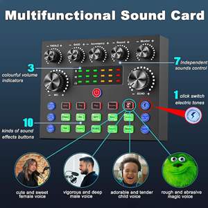 V8S เสียงการ์ดถ่ายทอดสดภาษาอังกฤษชุดไมโครโฟนคานรับ BM800ข้ามพรมแดนสำหรับ<span class=keywords><strong>การ</strong></span>สตรีมสด - Product Image 2