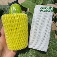 Op maat gemaakte EPE schuimnetten voor beschermende verpakkingen van appel, mango, perzik, bittere kalebas, aubergine; schokbestendige fruitnetten