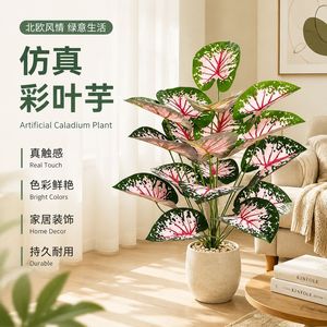 Caladium rose artificiel en pot, plante décorative d'intérieur et d'extérieur, fausse fleur, verdure - Product Image 5