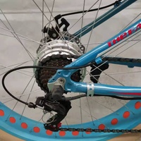 Vélo électrique en alliage d'aluminium de style européen avec pneu de 4,0 [FP-EB-LMT19002]