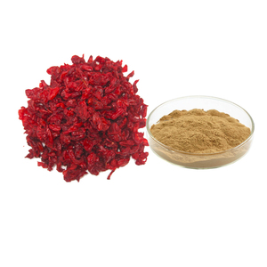 Экстракт плодов кукурузы высокого качества, порошок, порошок кукурузы, экстракт фруктового экстракта, 50% - Product Image 1