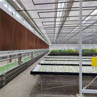 Film plastique transparent anti-buée de 200 microns résistant aux UV pour serre agricole pour serres tunnel et hangars en plastique