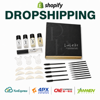 Kit professionnel de rehaussement de cils et de lamination de sourcils pour dropshipping, avec colle et coussinets en silicone