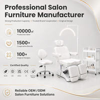 Fauteuil de Beauté Esthétique Professionnel pour Salon, Tatouage, Soins du Visage et Cosmétiques - Fournitures d'Esthéticienne - Ensemble Complet Cama De Belleza