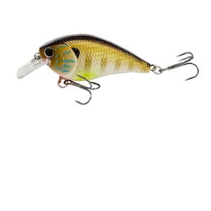 เหยื่อปลอมแบบลอยน้ำ FUN Lure รุ่น Small Fat Hard Bait ตะขอสแตนเลส 60 มม./9.4 กรัม สำหรับตก<span class=keywords><strong>ปลา</strong></span>ในน้ำจืด/น้ำเค็ม <span class=keywords><strong>ปลา</strong></span>แบส <span class=keywords><strong>ปลา</strong></span>ไพค์ <span class=keywords><strong>ปลา</strong></span><span class=keywords><strong>คา</strong></span><span class=keywords><strong>ร์</strong></span>พ - Product Image 5