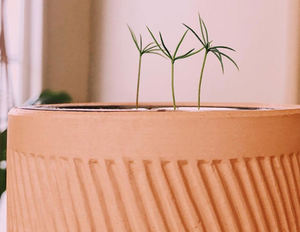 Kit di crescita Ikuper orchidea Kit di costruzione con fiori e strumenti <span class=keywords><strong>Bonsai</strong></span> giardinaggio <span class=keywords><strong>Bonsai</strong></span> Desktop simulazione regalo verde - Product Image 2