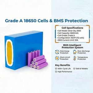 แบตเตอรี่ลิเธียม DE Stock 60V20Ah สีน้ำเงิน PVC สำหรับจักรยานไฟฟ้าและสกู๊ตเตอร์ไฟฟ้า, 2600mAh 16s7p พร้อม BMS 50A และปลั๊ก XT60 3A - Product Image 4
