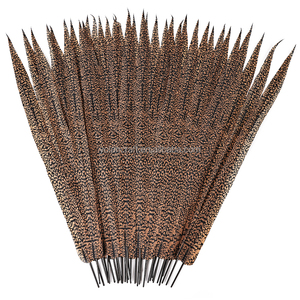 Yolan 60cm vàng tự nhiên gà lôi bên đuôi lông sexy lễ hội trang phục cho đám cưới bên mô hình thô thú y - Product Image 3