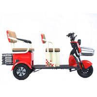 2025 nouveau vélo électrique Tricycle 3 roues 650W Vintage 3 roues vélo électrique avec panier