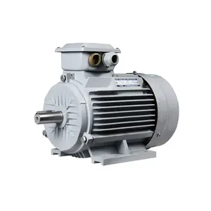 3/4 Hp 2900 Vòng/phút Ac Không Đồng Bộ Động Cơ Điện