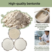 Poudre de Bentonite ZF-31 100% Bentonite Pureté 98% Vente Directe Usine Haute Blancheur Origine Hebei Approvisionnement Immédiat Fonderie