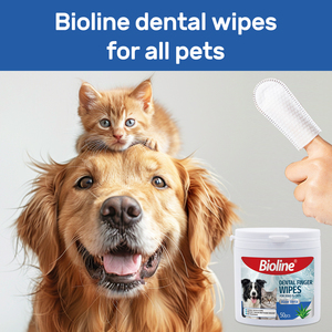 Lingettes dentaires Bioline écologiques pour nettoyer les dents et les gencives, naturelles, sans parfum, à l'aloe vera - Product Image 4