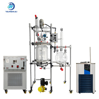 Reactor de Vidrio de 50L con Intercambiador de Calor de Vidrio, Reactor de Vidrio de Fase Sólida para Procesamiento Químico