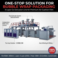 Máquina Automática de Coextrusión de Película de Burbujas de PE de 3 Capas, Línea de Extrusión de Película Fundida con Ancho de 1000 mm