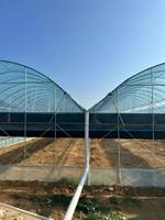 Serre agricole commerciale d'usine chinoise, système d'hydroponie, film de serre à vendre