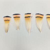 Plumes naturelles pour l'artisanat, décoration en plumes, accessoires de mariage, plumes, décoration de carnaval