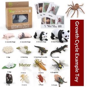 Figuras de Animales del Ciclo de Vida Montessori, Juguete Educativo Preescolar para Niños Pequeños, Juego de Material Didáctico - Product Image 2